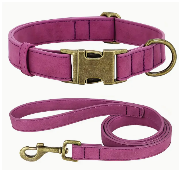 Roze kunstleren halsband en riem met zachte afwerking en kliksluiting – perfect voor kleine honden met stijl.