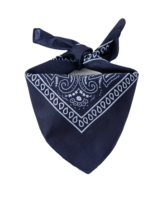 Navy klassieke huisdier bandana met wit paisley-patroon.