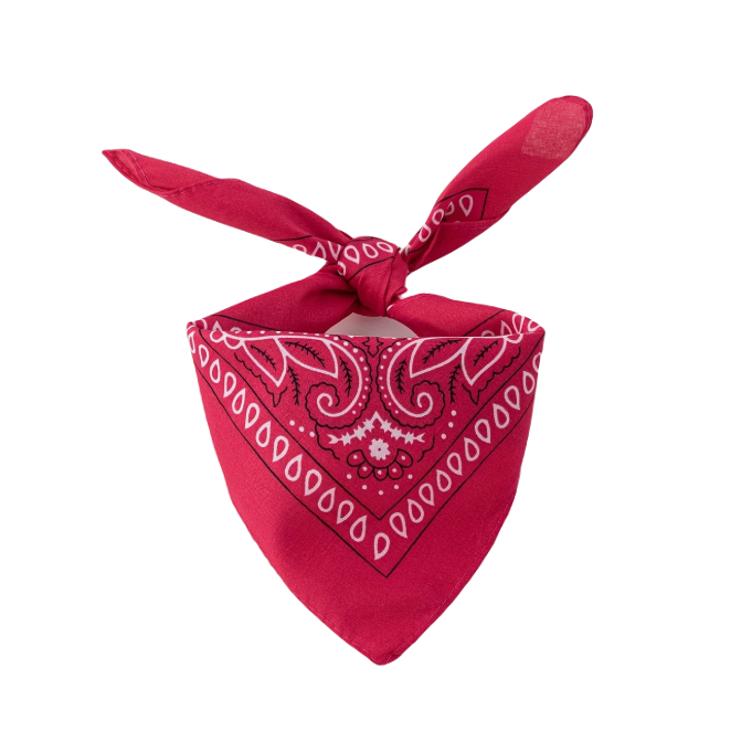 Rode klassieke huisdier bandana met wit en zwart patroon.