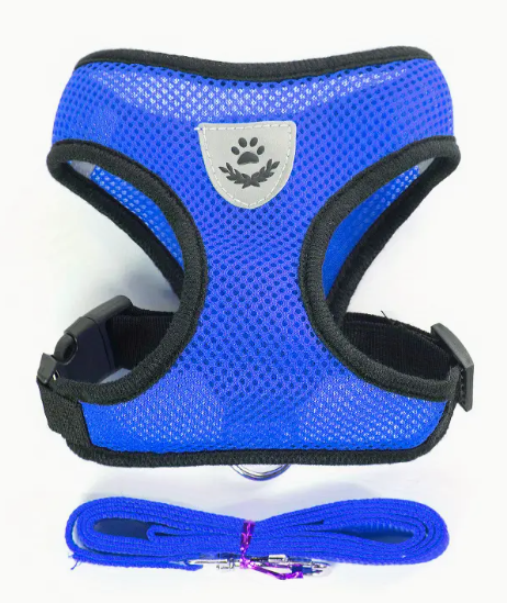 Blauw dierenharnas met bijpassende loopriem, reflecterend stiksel en ademend mesh materiaal.