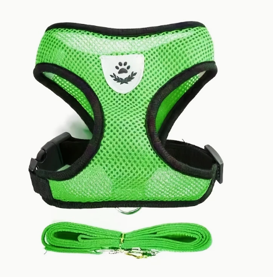 Groen harnas met bijpassende riem, ideaal voor kleine honden of katten.