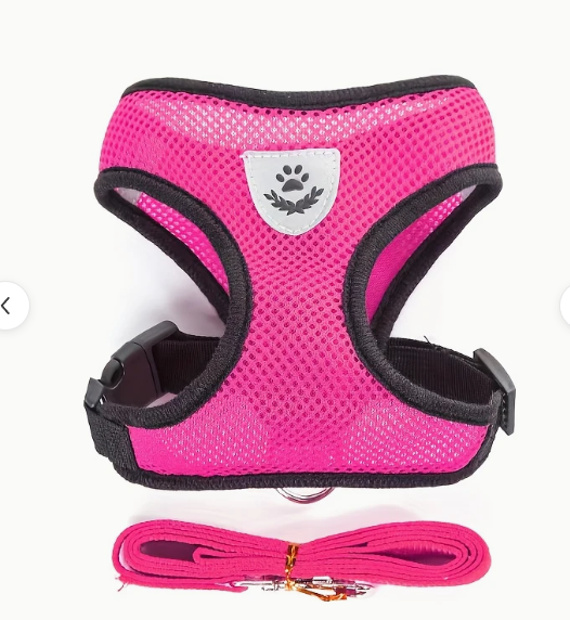 Roze harnas voor kleine honden, inclusief riem en comfortabel mesh design.