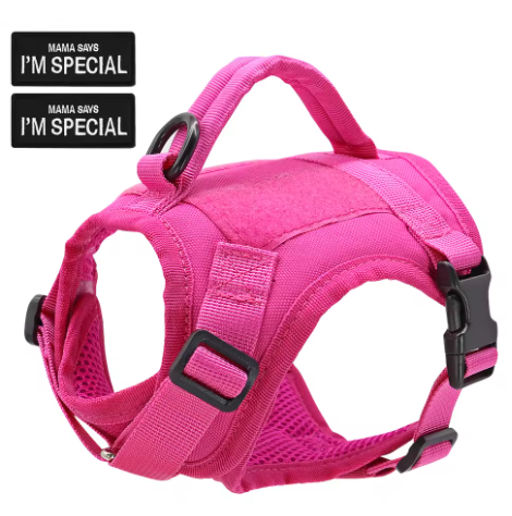 Tactisch roze nylon harnas voor katten en kleine honden, inclusief handvat voor extra controle.