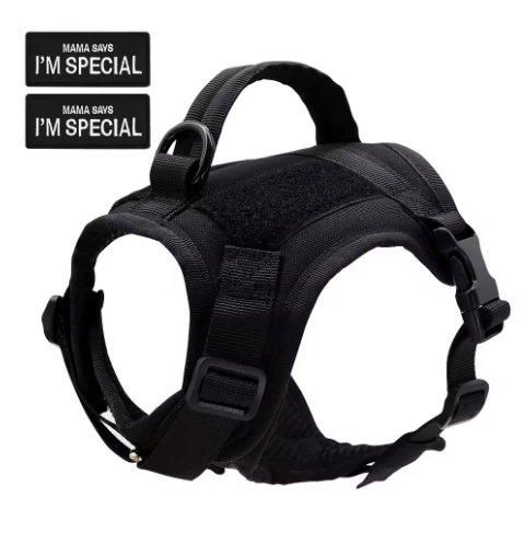 Stevig zwart nylon harnas met ademend materiaal en klittenbandsluiting voor een perfecte pasvorm.