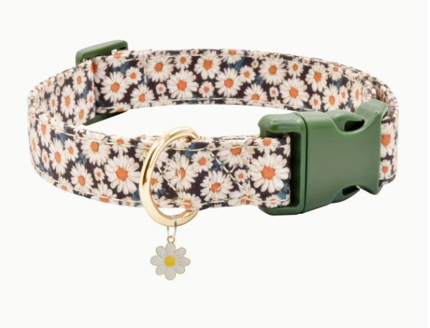 Comfortabele bloemenhalsband voor met zachte afwerking.