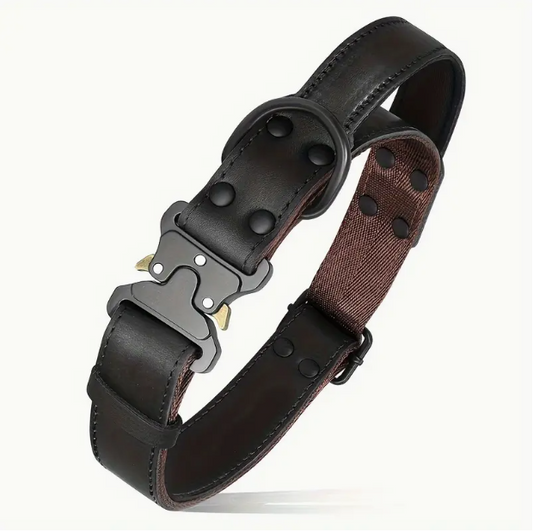 Zwarte leren hondenhalsband met metalen gesp, geschikt voor kleine tot middelgrote honden.