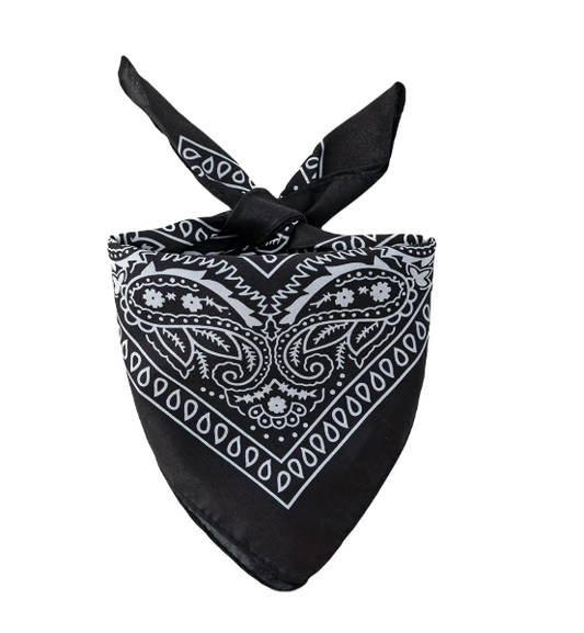 Zwarte klassieke huisdier bandana met wit paisley-patroon.