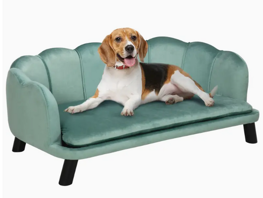 Luxe dierenbank – Fluwelen Design met Schelprug | 98 x 60 x 35 cm – Groen