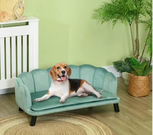 Luxe dierenbank – Fluwelen Design met Schelprug | 98 x 60 x 35 cm – Groen