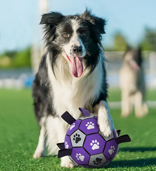 Duurzame Rubber Honden Voetbal met Bandjes – Interactief & Kauwbestendig Speelgoed – Paars/Zwart – Voor Alle Hondenrassen