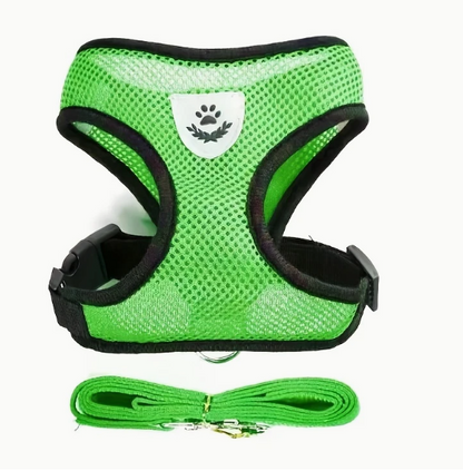 Groen harnas met bijpassende riem, ideaal voor kleine honden of katten.