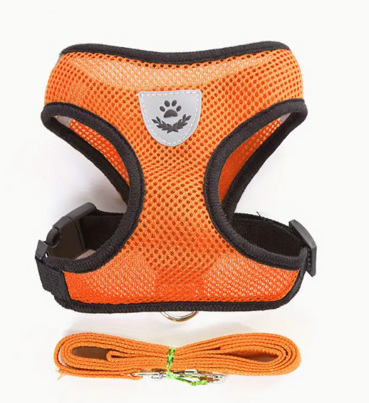 Oranje reflecterend mesh tuigje met verstelbare bandjes voor comfort.