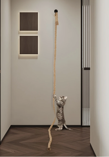 Het klimtouw is opgehangen aan een muur, perfect voor actief klimmen en krabben.