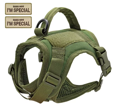 Groen tactisch nylon harnas voor katten en kleine honden, inclusief handvat voor extra controle.