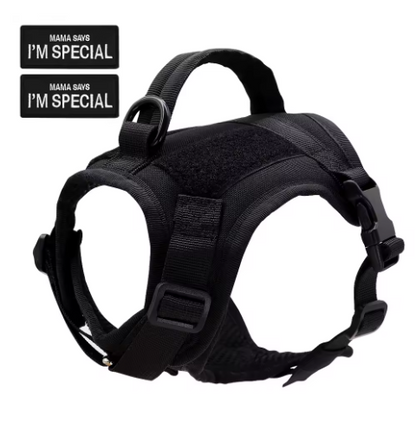 Stevig zwart nylon harnas met ademend materiaal en klittenbandsluiting voor een perfecte pasvorm.