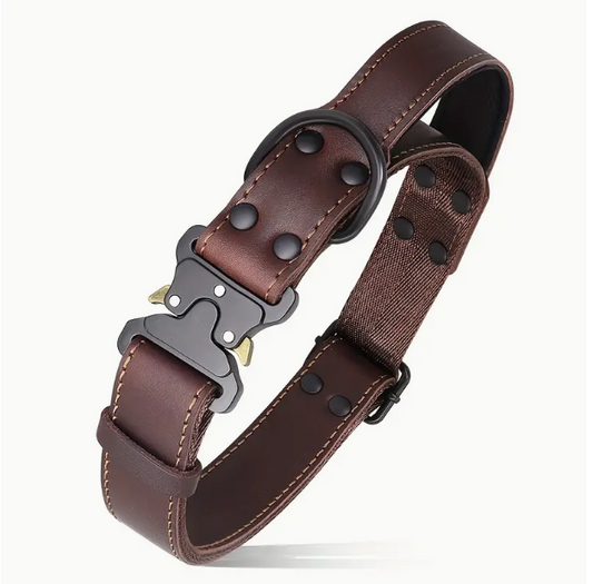 Luxe bruine leren hondenhalsband met een stevige sluiting, perfect voor kleine tot middelgrote honden.