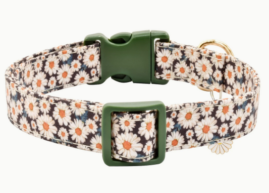 Stijlvolle hondenhalsband met madeliefjesmotief en stevige sluiting.