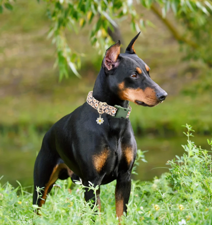 Lichtgewicht halsband met bloemenprint, geschikt voor dagelijks gebruik bij honden.