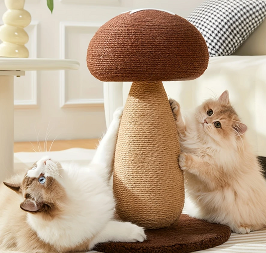 Kattenkrabpaal in de vorm van een paddenstoel met een vrolijk design, perfect voor nieuwsgierige katten die graag krabben en spelen.