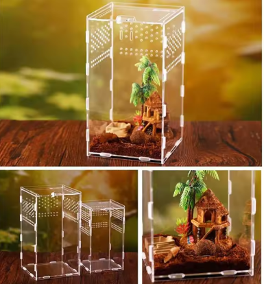 Transparant Acryl Terrarium – Reptielen Kweekbox met Ventilatie | Geschikt voor Spinnen, Schorpioenen & Insecten - Verschillende formaten