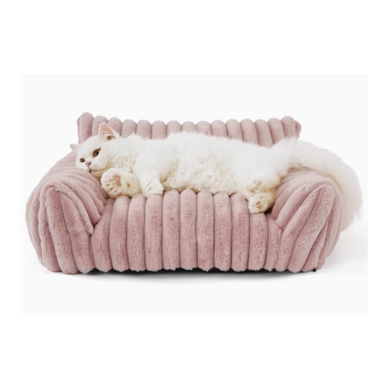 Luxe dierensofa voor katten en kleine honden, ideaal voor loungen, met een zacht kussentje en stevig frame voor langdurig gebruik.
