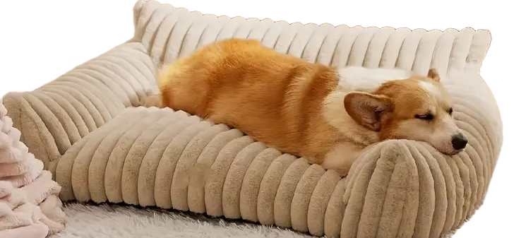 Crème wit luxe dierensofa, een stijlvol bedje voor jouw huisdier, met een zacht kussentje voor extra comfort.
